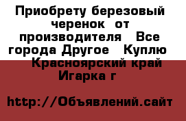 Приобрету березовый черенок  от производителя - Все города Другое » Куплю   . Красноярский край,Игарка г.